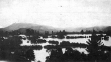 Flooded Farmlands before Stopbanks.